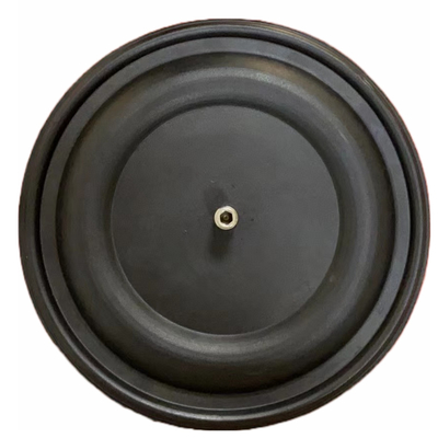 DN8 DN200のプランジャー弁ポンプ紡糸ポンプ適合のダイヤフラムPTFE EPDM