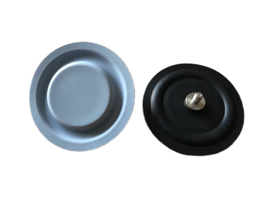 工業用用用 20 Bar PTFE EPDM メタリングポンプ 弁