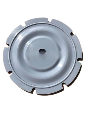 PTFE EPDM FKM メタリングポンプ 弁封印 マックス.差分温度 50°C