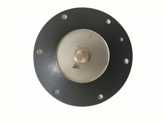 密封型 NBR 磁気弁 広範囲の動作温度範囲 D25 DMF-Z-25 DMF-ZM-25 DMF-Y-25