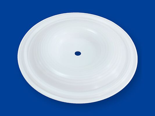 50mm 直径 長持ちする計測ポンプ弁 ポンプの効率を向上させ,保守頻度を削減するために設計